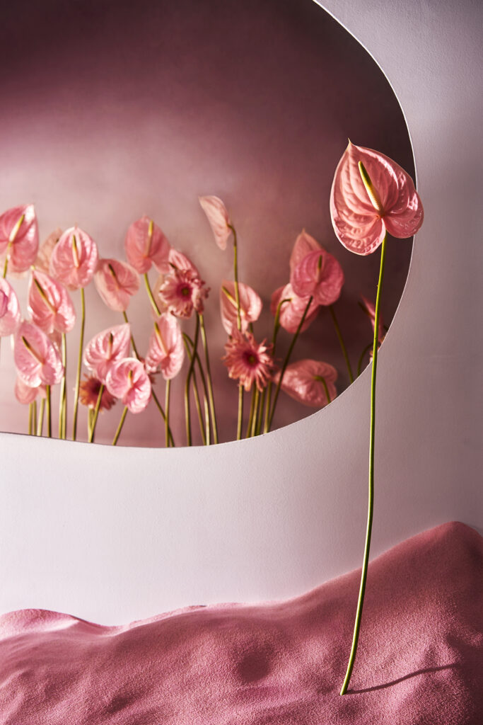 Charlie Goodge Photography based in North London, Tottenham Hale. Creative, high end, luxury, bold and unique still life imagery.
